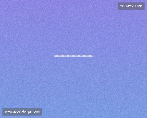 网球比赛志愿者的多重角色与贡献探索：从赛场服务到赛事背后无声支持