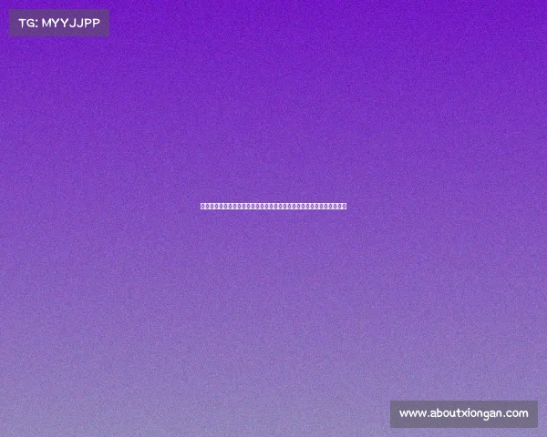 网球比赛志愿者的多重角色与贡献探索：从赛场服务到赛事背后无声支持