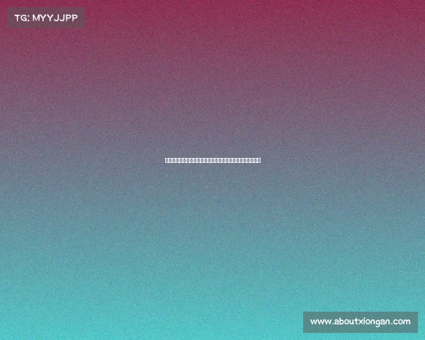 菲利克斯如何在全球科技创新中崭露头角并引领行业发展趋势